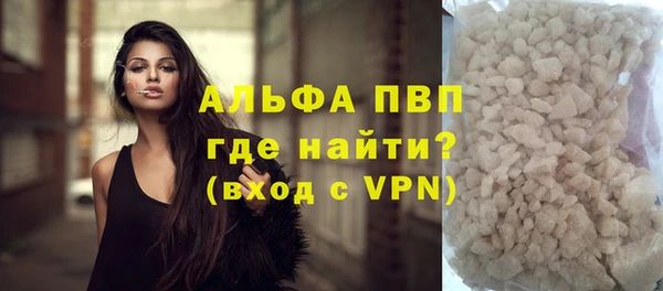 стаф Магас