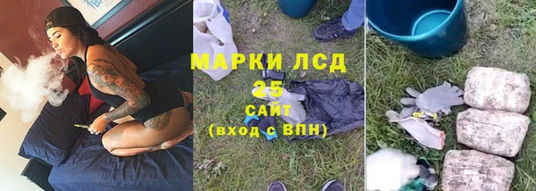 прущие грибы Хадыженск